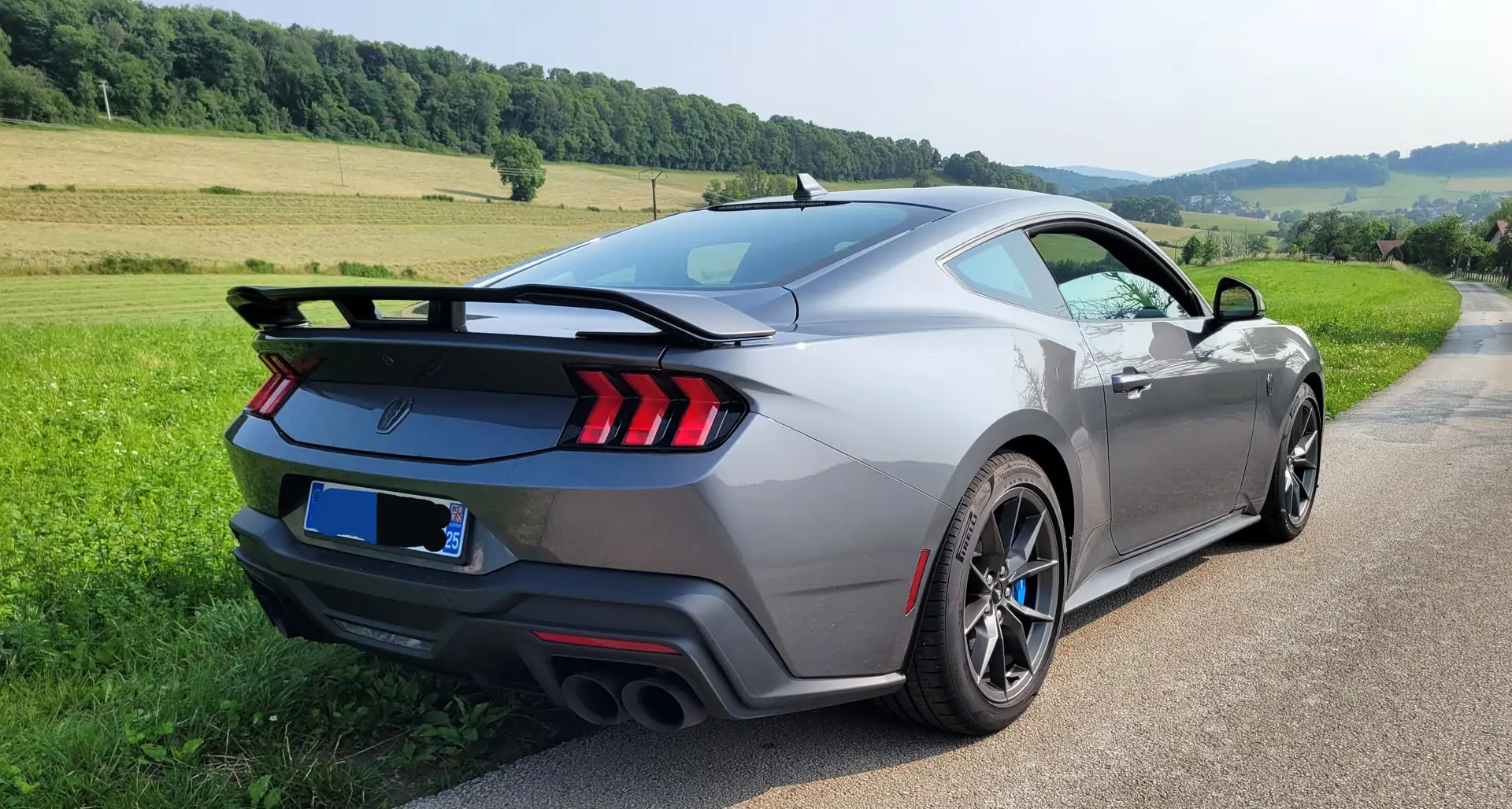Ford Mustang Dark Horse V8 453cv Gris - 1