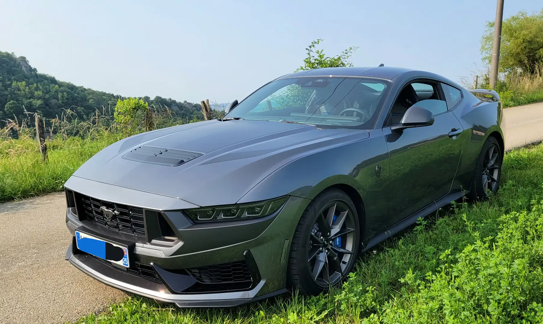 Ford Mustang Dark Horse V8 453cv Gris - 2