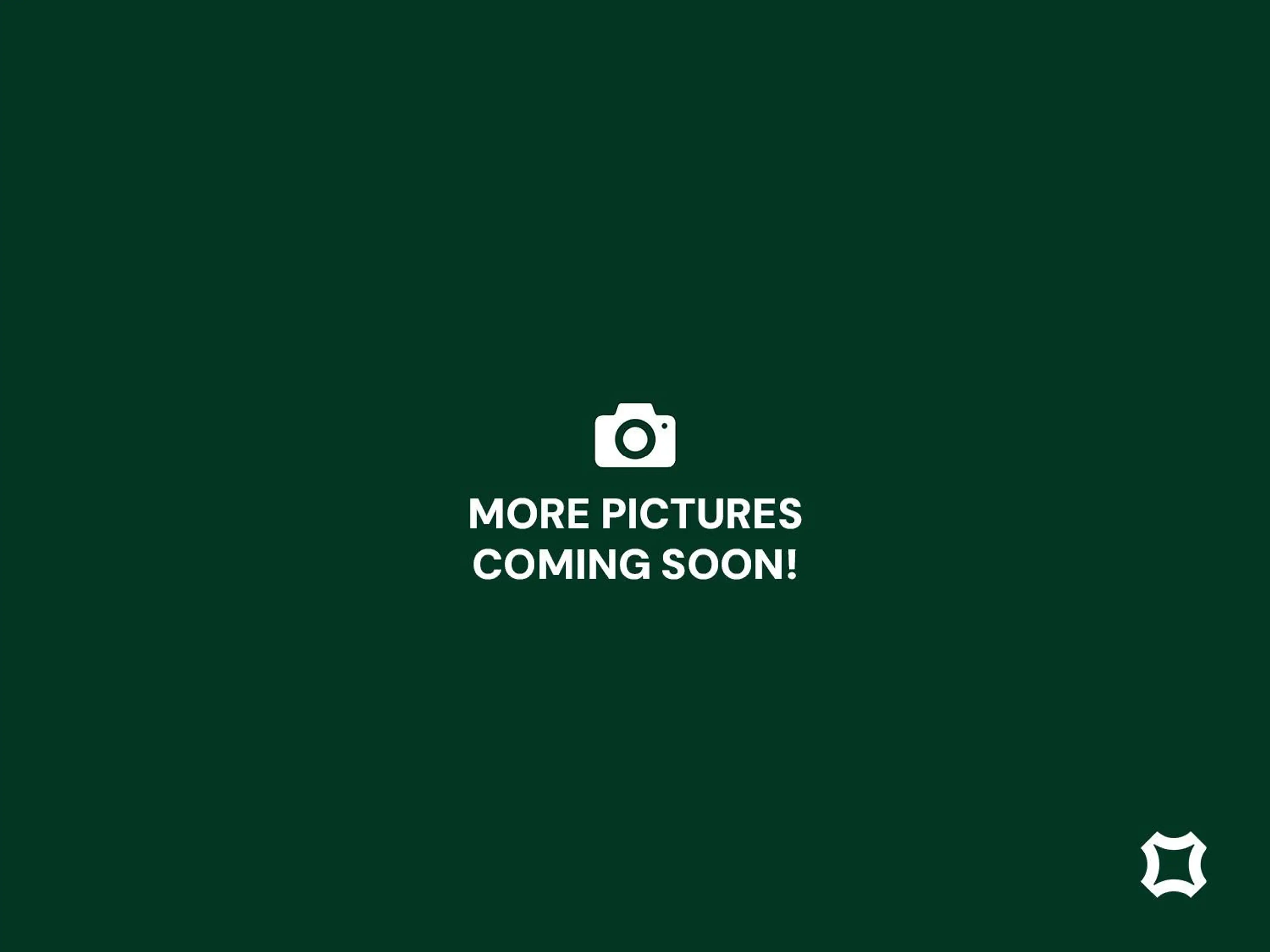 Land Rover Range Rover Sport P460e Hybrid Dynamic SE Trekhaak Pano Head-Up ACC — photo 11