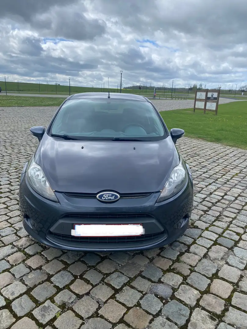 Ford Fiesta 1.4 TDCi Trend Gris - 2