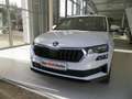 Skoda Karoq Selection TDI Weiß - thumbnail 1