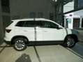 Skoda Karoq Selection TDI Weiß - thumbnail 4