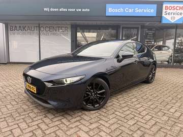 2.0 e-SA-X Luxury | Bose | Leer | Camera