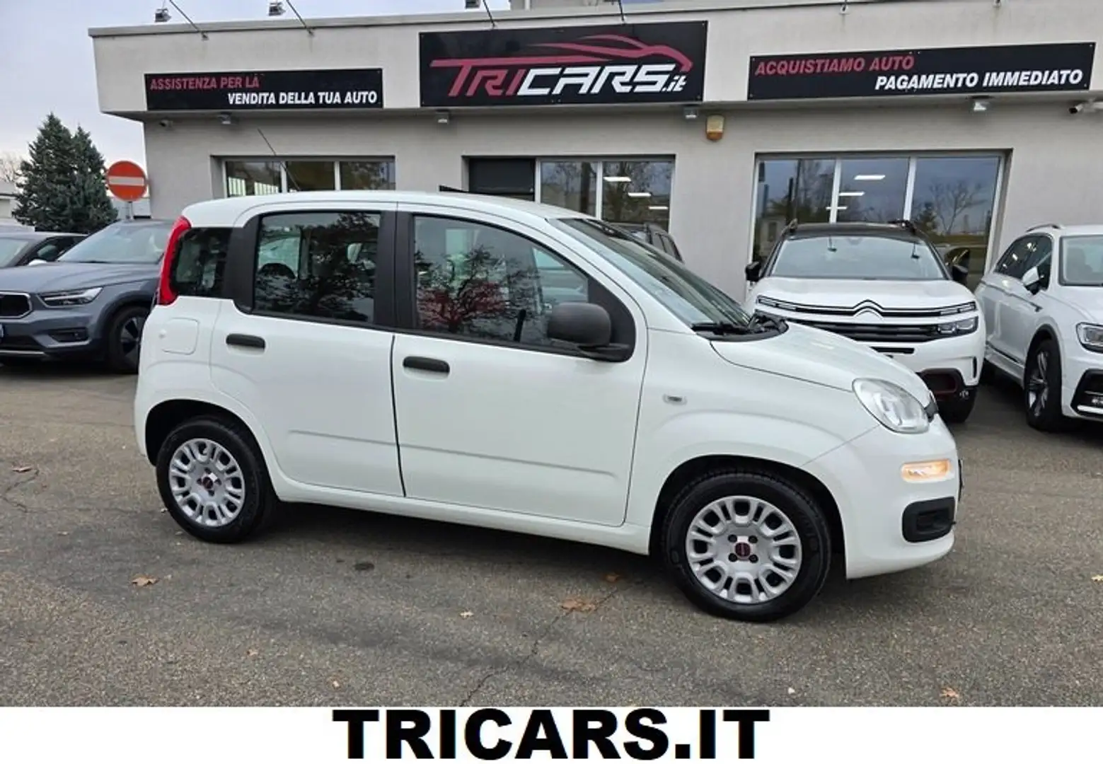 Fiat Panda 1.3 mjt NEOPATENTATI PROMO 1500 - PERMUTE Bianco - 1