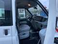 Ford Transit L3H3*5-Sitzer*Klima+Standheizung+Sortimo Wit - thumbnail 10