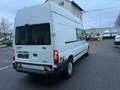 Ford Transit L3H3*5-Sitzer*Klima+Standheizung+Sortimo Wit - thumbnail 6