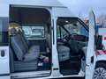 Ford Transit L3H3*5-Sitzer*Klima+Standheizung+Sortimo Wit - thumbnail 15