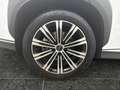 BYD Sealion 7 Comfort *Barkaufpreis*inkl. MwSt.* Weiß - thumbnail 15