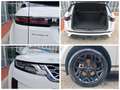 Land Rover Range Rover Evoque Range Rover Evoque II 2.0d i4 mhev awd 150cv Blanc - thumbnail 8