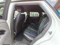 Land Rover Range Rover Evoque Range Rover Evoque II 2.0d i4 mhev awd 150cv Blanc - thumbnail 10