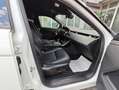 Land Rover Range Rover Evoque Range Rover Evoque II 2.0d i4 mhev awd 150cv Blanc - thumbnail 11