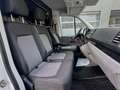 Volkswagen Crafter 35 Kasten L3H3 2.0 TDI FWD Garantie-09/2028 Weiß - thumbnail 13
