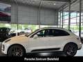 Porsche Macan S Luftfederung Panorama Rückfahrkamera LED Weiß - thumbnail 11
