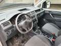 Volkswagen Caddy Kombi 2,0 TDI 4MOTION Alb - thumbnail 8