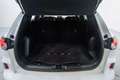 Ford Kuga 1.5 EcoBoost ST-Line FWD 150 Blanco - thumbnail 17