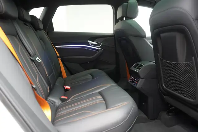 Audi E-Tron view 18