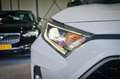 Toyota RAV 4 2.5 Plug-in Hybrid AWD Bi-Tone Plus | TREKHAAK | E Bianco - thumbnail 6