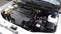 Fiat Strada 1300 MULTIJET FIORINO   PICK-UP  SOLO 33000 KM Weiß - thumbnail 22