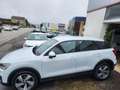 Audi Q2 Design luxe QUATTRO 20 35TDIQ STRONIC Blanco - thumbnail 3