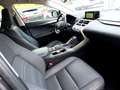 Lexus NX 300 300h Executive Navigation 4WD Grijs - thumbnail 13