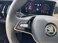 Skoda Kodiaq Selection 4x4 2.0 TDI HUD Navi Matrix Dig Grau - thumbnail 18