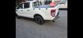 Ford Ranger Ranger Doppelkabine XL 4x4 2,0 EcoBlue XL Weiß - thumbnail 2
