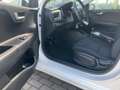 Kia Rio 1.2 - Sitz- und Lenkradheizung Weiß - thumbnail 12