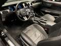Ford Mustang USA Convertible 5.0i V8 GT Premium 460PK Automaat Zwart - thumbnail 18
