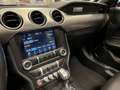 Ford Mustang USA Convertible 5.0i V8 GT Premium 460PK Automaat Zwart - thumbnail 41