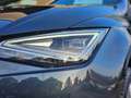 SEAT Ibiza 1.0 TSI FR SH RFK Navi LED Grau - thumbnail 5
