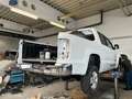 Volkswagen Amarok Weiß - thumbnail 14