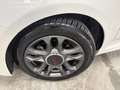 Fiat 500 500 1.3 Multijet 95 CV S Bianco - thumbnail 8