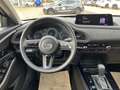 Mazda CX-30 2.5L 140PS 6AT Nagisa TAGESZULASSUNG Weiß - thumbnail 15