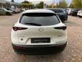 Mazda CX-30 2.5L 140PS 6AT Nagisa TAGESZULASSUNG Weiß - thumbnail 5