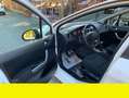 Peugeot 308 1.6 8V e-HDi 115CV Stop&Start SW BUSINESS Bianco - thumbnail 11