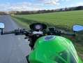 Kawasaki Z 1000 Verde - thumbnail 6