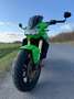 Kawasaki Z 1000 Verde - thumbnail 4