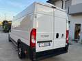 Fiat Ducato 35 2.2 Mjt 140CV PLM-TM Furgone Maxi L4 H2 Bianco - thumbnail 6