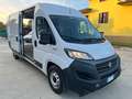 Fiat Ducato 35 2.2 Mjt 140CV PLM-TM Furgone Maxi L4 H2 Bianco - thumbnail 7