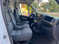 Fiat Ducato 35 2.2 Mjt 140CV PLM-TM Furgone Maxi L4 H2 Bianco - thumbnail 8