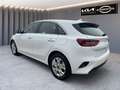 Kia Ceed / cee'd CEED_5 1.0T 100 VISION NAVI Blanc - thumbnail 13