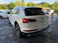 Audi Q5 50 TDI quattro Distronic Kamers Matrix Weiß - thumbnail 4