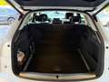 Audi Q5 50 TDI quattro Distronic Kamers Matrix Weiß - thumbnail 5