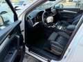 Audi Q5 50 TDI quattro Distronic Kamers Matrix Weiß - thumbnail 9