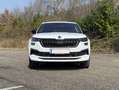 Skoda Kodiaq Kodiaq 2,0 TDI SCR Sportline DSG Sportline Weiß - thumbnail 8