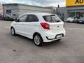 Ford Ka/Ka+ 1.2 85 CV Start&Stop Active Bianco - thumbnail 4