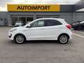 Ford Ka/Ka+ 1.2 85 CV Start&Stop Active Bianco - thumbnail 3