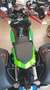 Kawasaki Z1000 SX Verde - thumbnail 6