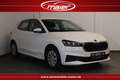 Skoda Fabia -Smart Link-LED-DAB-SHZ-Klima-PDC- Weiß - thumbnail 1
