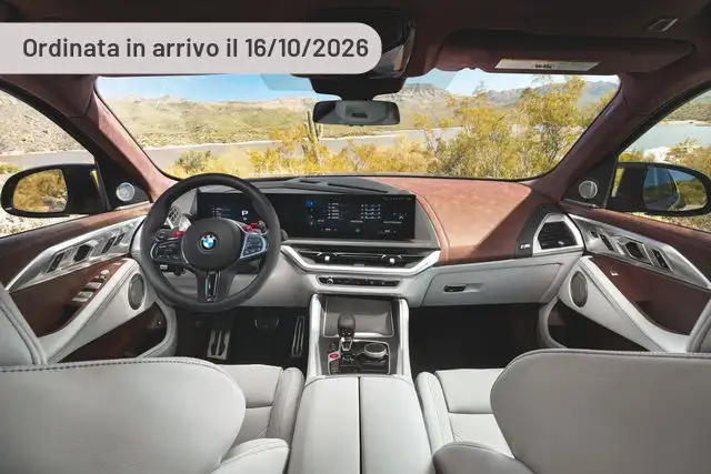 BMW XM Label